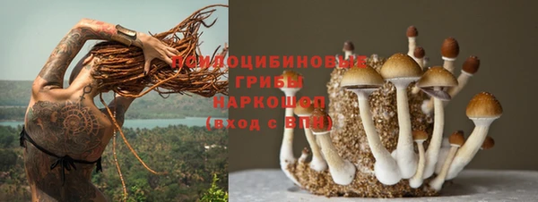 a pvp Михайловка