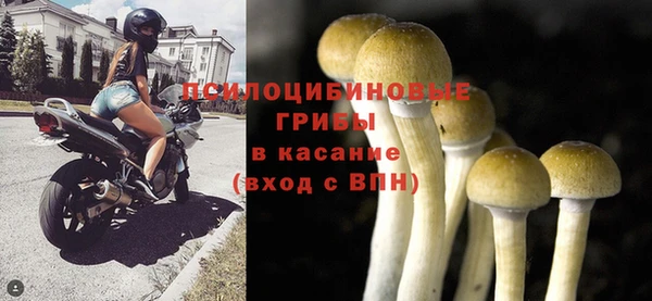 таблы Михайлов